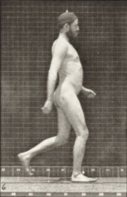 Plate 389 Farmer, scattering seed — figure reference